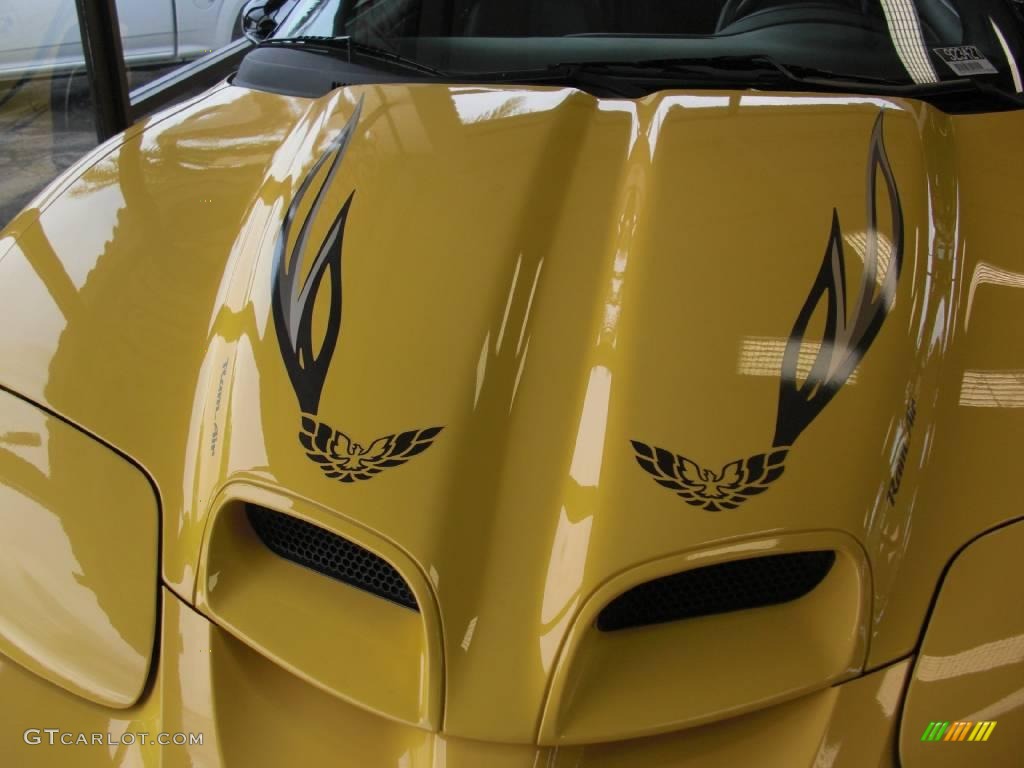 2002 Firebird Trans Am WS-6 Convertible - Collector Edition Yellow / Ebony Black photo #29