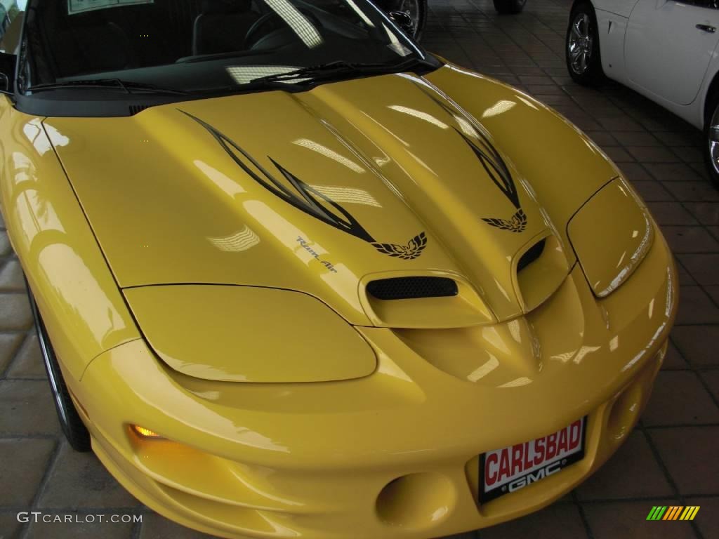 2002 Firebird Trans Am WS-6 Convertible - Collector Edition Yellow / Ebony Black photo #30