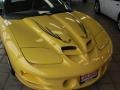 Collector Edition Yellow - Firebird Trans Am WS-6 Convertible Photo No. 30