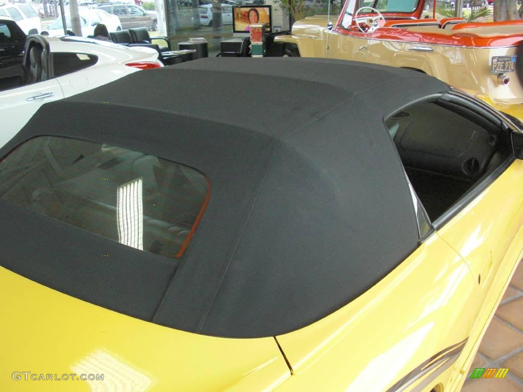 2002 Firebird Trans Am WS-6 Convertible - Collector Edition Yellow / Ebony Black photo #39