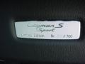 Orange - Cayman S Sport Photo No. 14