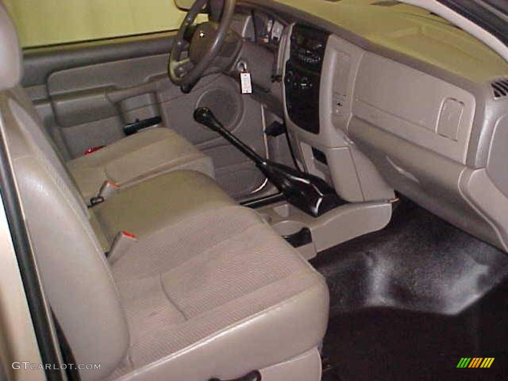 2004 Ram 1500 ST Regular Cab - Light Almond Pearl / Taupe photo #9