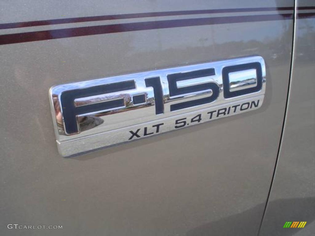 2004 F150 XLT Regular Cab - Arizona Beige Metallic / Tan photo #13