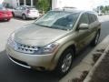 2007 Chardonnay Metallic Nissan Murano S  photo #11