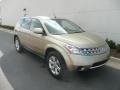 2007 Chardonnay Metallic Nissan Murano S  photo #19