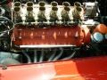 1962 Red Ferrari 250 GTE / 250 TRC   photo #8