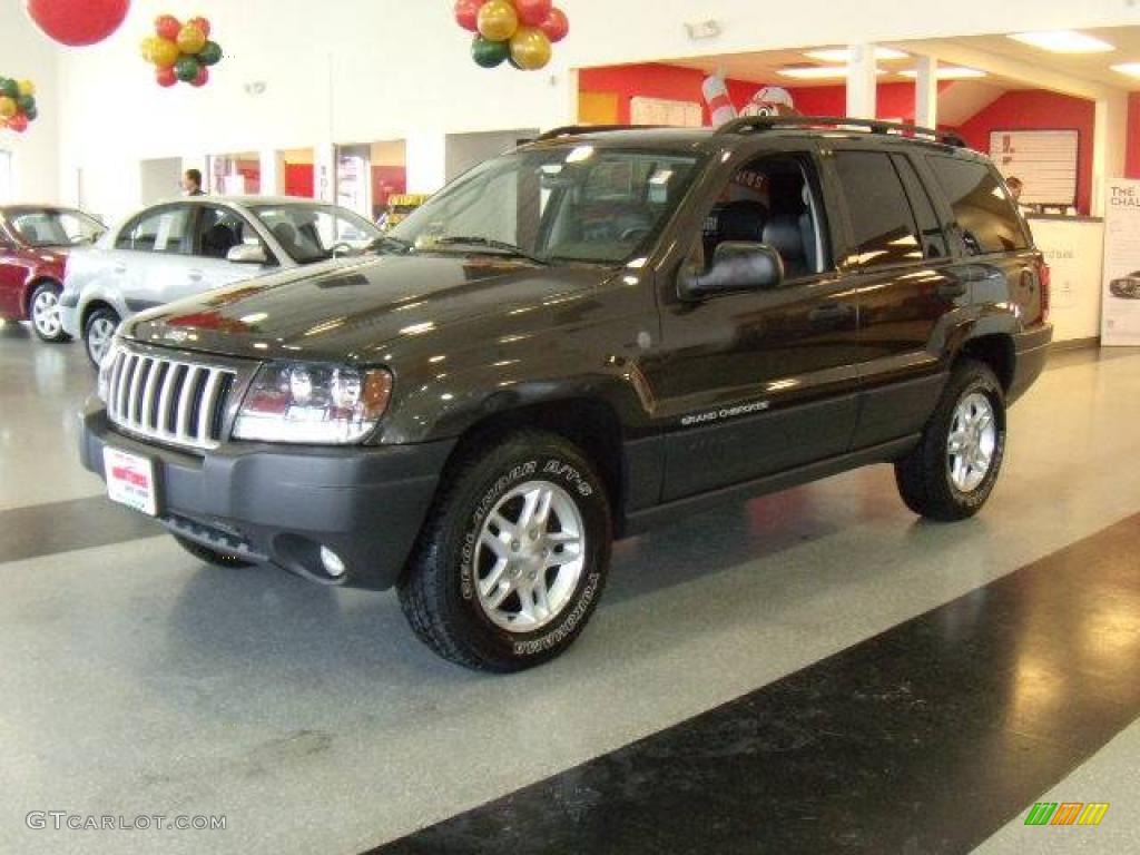 2004 Grand Cherokee Laredo 4x4 - Dark Khaki Pearl / Dark Slate Gray photo #1