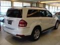 Arctic White - GL 450 4Matic Photo No. 6