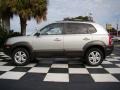 2007 Platinum Metallic Hyundai Tucson SE  photo #2