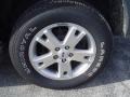 2006 Silver Birch Metallic Ford Explorer XLT  photo #9