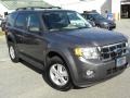 2009 Sterling Grey Metallic Ford Escape XLT  photo #1