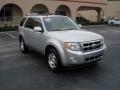 2009 Brilliant Silver Metallic Ford Escape Limited V6  photo #1