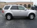 2009 Brilliant Silver Metallic Ford Escape Limited V6  photo #5