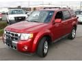 2009 Sangria Red Metallic Ford Escape Limited V6 4WD  photo #1
