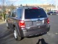2010 Sterling Grey Metallic Ford Escape Limited V6 4WD  photo #5