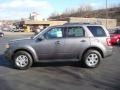 2010 Sterling Grey Metallic Ford Escape Limited V6 4WD  photo #6