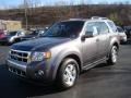 2010 Sterling Grey Metallic Ford Escape Limited V6 4WD  photo #7