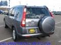 2005 Pewter Pearl Honda CR-V Special Edition 4WD  photo #2