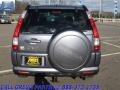 2005 Pewter Pearl Honda CR-V Special Edition 4WD  photo #8