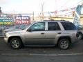 2002 Light Pewter Metallic Chevrolet TrailBlazer LT 4x4  photo #6