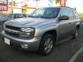 2002 Light Pewter Metallic Chevrolet TrailBlazer LT 4x4  photo #7