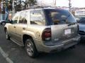 2002 Light Pewter Metallic Chevrolet TrailBlazer LT 4x4  photo #11