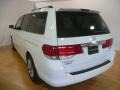 Taffeta White - Odyssey Touring Photo No. 12