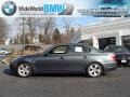 2008 Platinum Grey Metallic BMW 5 Series 528i Sedan  photo #3