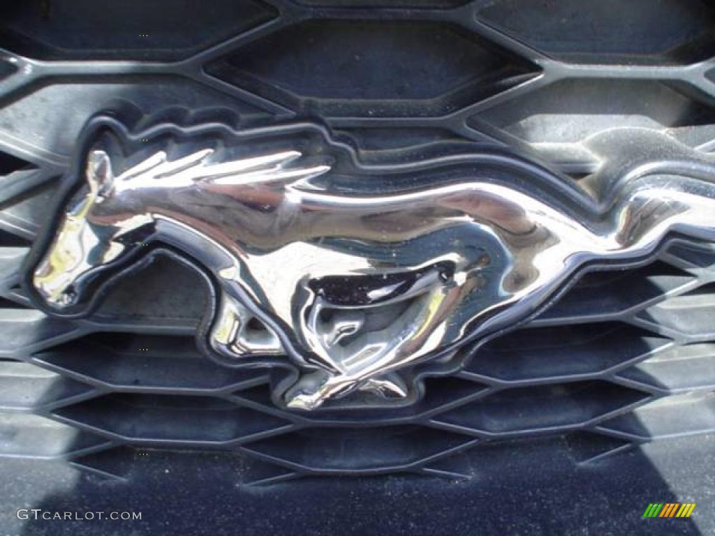 2006 Mustang GT Premium Coupe - Black / Dark Charcoal photo #12