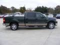 2006 Aspen Green Metallic Ford F150 XLT SuperCrew  photo #2