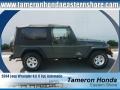 2004 Shale Green Metallic Jeep Wrangler Sport 4x4  photo #1