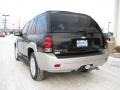 2008 Black Granite Metallic Chevrolet TrailBlazer LT 4x4  photo #9