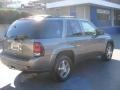 2008 Graystone Metallic Chevrolet TrailBlazer LT 4x4  photo #15