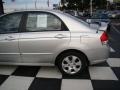 2008 Silver Kia Spectra EX Sedan  photo #29