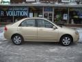 2009 Sand Beige Metallic Kia Spectra EX Sedan  photo #2