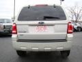 2008 Light Sage Metallic Ford Escape XLT V6  photo #4