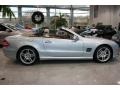 Diamond Silver Metallic - SL 550 Roadster Photo No. 4