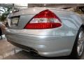 Diamond Silver Metallic - SL 550 Roadster Photo No. 21