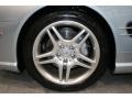 Diamond Silver Metallic - SL 550 Roadster Photo No. 24