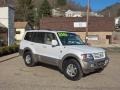 2002 Glacier White Pearlescent Mitsubishi Montero Limited 4x4  photo #2