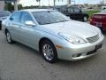 Millennium Silver Metallic - ES 330 Photo No. 8