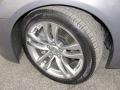 Platinum Graphite Gray - G 37 Coupe Photo No. 20