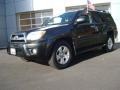 Shadow Mica - 4Runner SR5 Photo No. 2