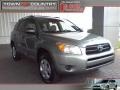 Everglade Metallic - RAV4  Photo No. 1