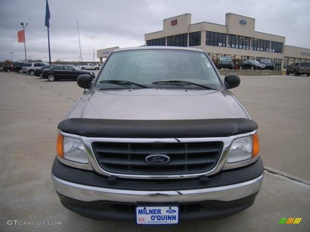 2004 F150 XLT Heritage SuperCab - Arizona Beige Metallic / Tan photo #8