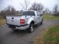 2006 Silver Metallic Ford F150 STX SuperCab 4x4  photo #3