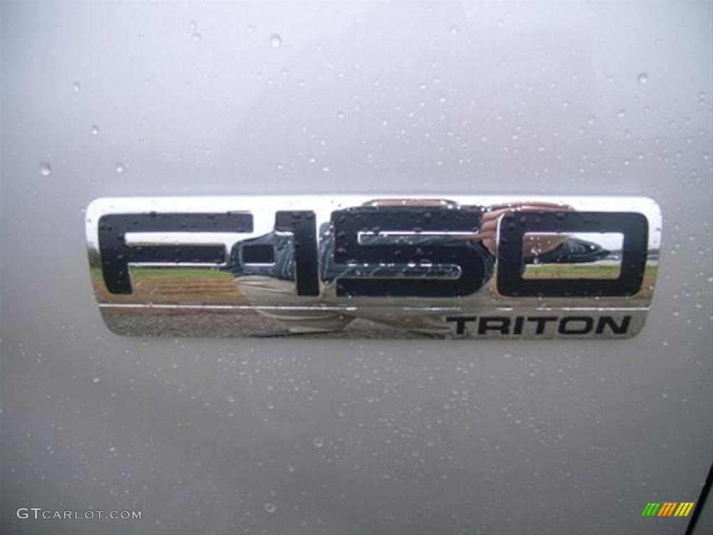 2006 F150 STX SuperCab 4x4 - Silver Metallic / Medium/Dark Flint photo #8