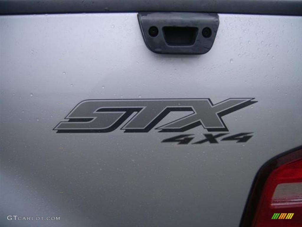 2006 F150 STX SuperCab 4x4 - Silver Metallic / Medium/Dark Flint photo #11