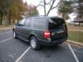 2009 Black Pearl Slate Metallic Ford Expedition XLT 4x4  photo #5