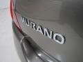 2004 Polished Pewter Metallic Nissan Murano SE  photo #7